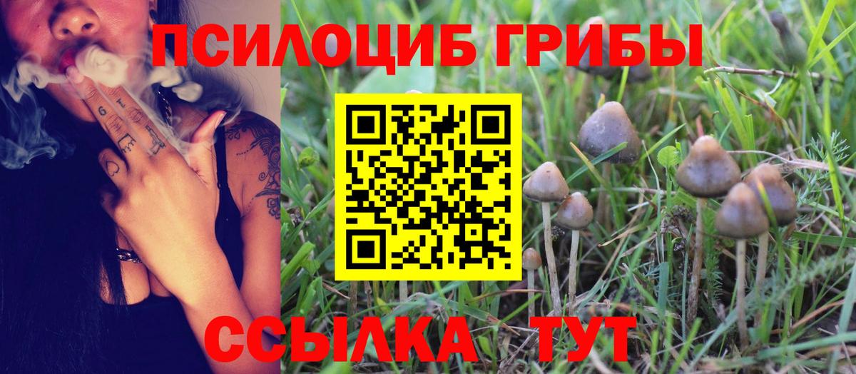Галлюциногенные грибы мухоморы Магнитогорск